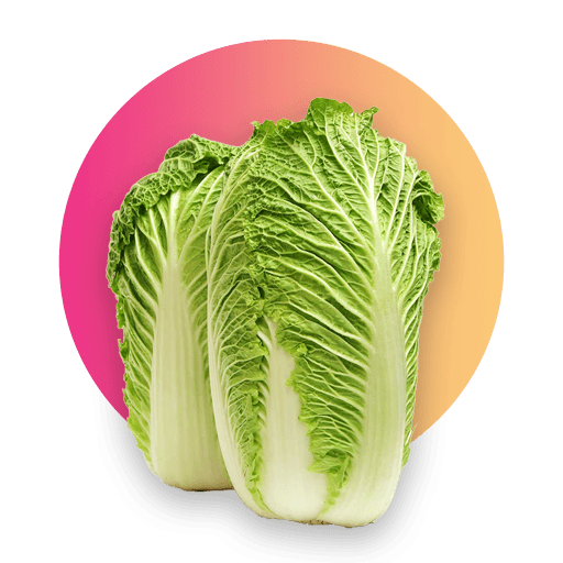 Kapusta pekińska AgroQueens