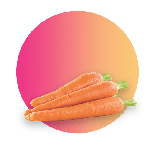 Marchew AgroQueens