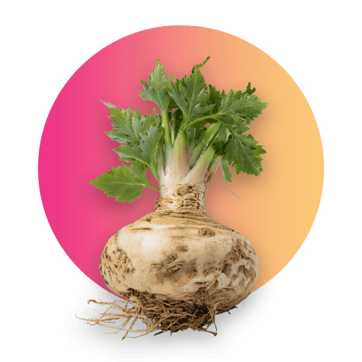 Seler AgroQueens