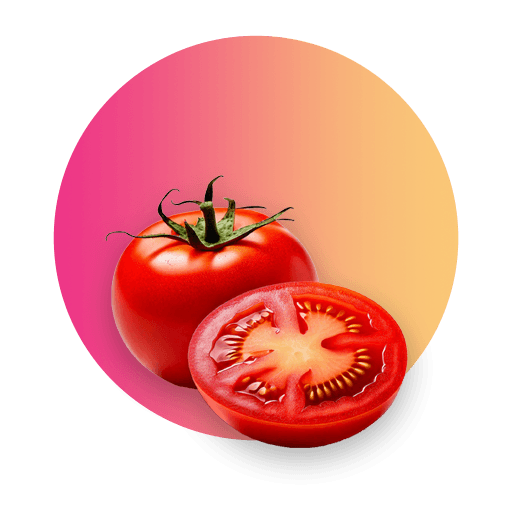 Pomidory AgroQueens