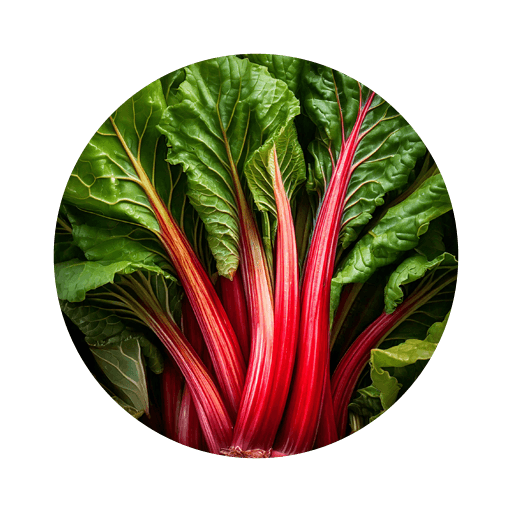 Rabarbar AgroQueens