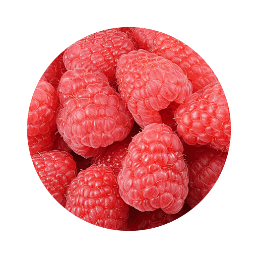 Malina AgroQueens