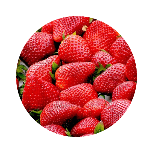 Truskawka AgroQueens